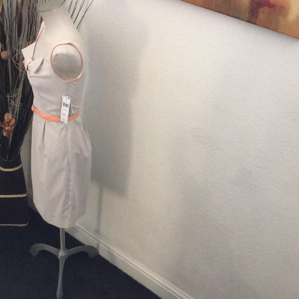 Khaki & White w/Peach Trimmings Sundress - Picture 3 of 7